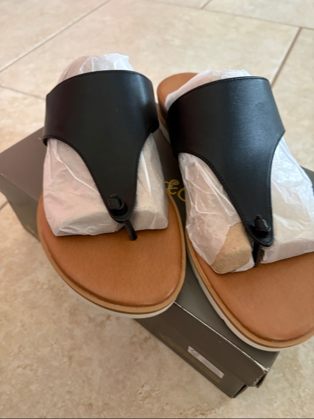 Style & Co. Black and Tan Thong Sandals